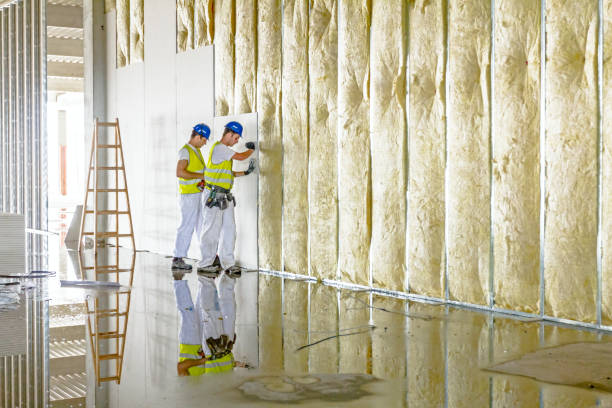 Types of Insulation We Offer in Barnhart, MO